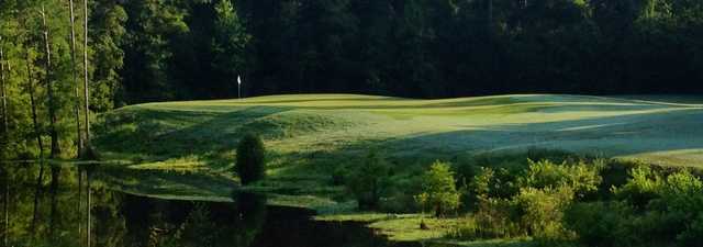 Grand Bear GC: #14